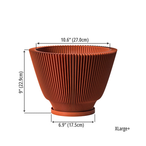 Terracotta Orange Dawn