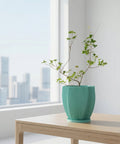 A light blue planter pot sits on a wooden table next to a gray sofa with a throw blanket in a room with dark green walls.