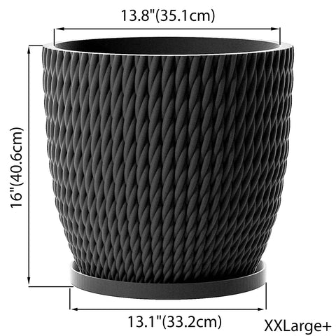 Charcoal Black Vine