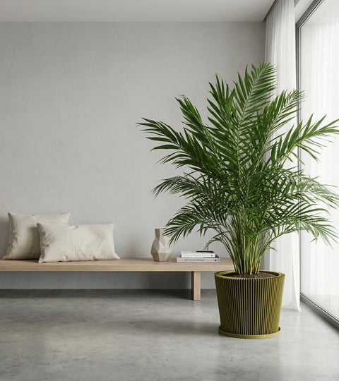 A monstera plant in a yellow geometric planter sits on a dark wood cabinet in a room with red walls. A mirror and lamp are nearby.