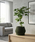 A green planter pot with a plant inside sits on a wooden table. The pot has a ribbed design. The table also has a vase and books on it. In the background, there is a window with a white curtain and a concrete wall.
