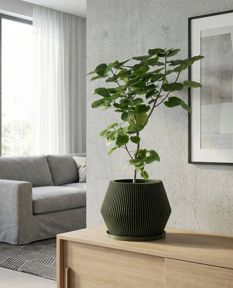 A green planter pot with a plant inside sits on a wooden table. The pot has a ribbed design. The table also has a vase and books on it. In the background, there is a window with a white curtain and a concrete wall.