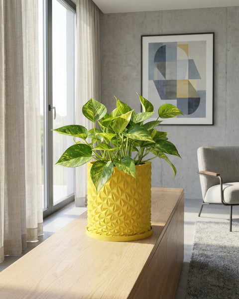 A bright yellow planter pot with a geometric design, holding a vibrant green plant, sits on a wooden surface in a modern room.