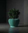 A green planter pot with a plant inside sits on a gray floor in front of a dark gray wall.