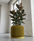 A banana plant in a textured, chartreuse planter pot sits on a marble-topped side table next to a gray couch with a cream-colored throw.