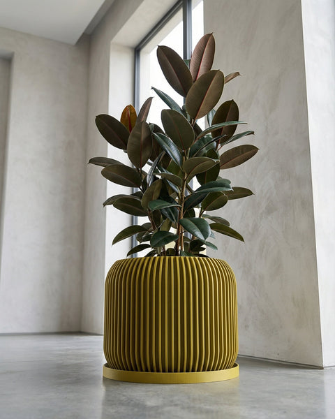 A banana plant in a textured, chartreuse planter pot sits on a marble-topped side table next to a gray couch with a cream-colored throw.