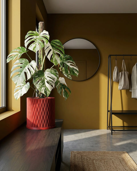 A red planter pot with a green plant sits on a wooden shelf in front of a window. The pot has a spiral design.