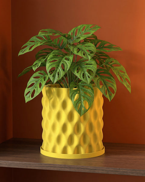 A Monstera adansonii plant in a yellow, textured planter pot sits on a dark wood shelf against a brown wall.