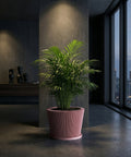 A pink planter pot with a green plant sits on a dark wood table against a red wall with a mirror and light fixture.