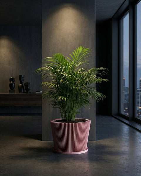 A pink planter pot with a green plant sits on a dark wood table against a red wall with a mirror and light fixture.