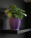 A purple planter pot with a plant on a wooden table. The pot has a textured design.