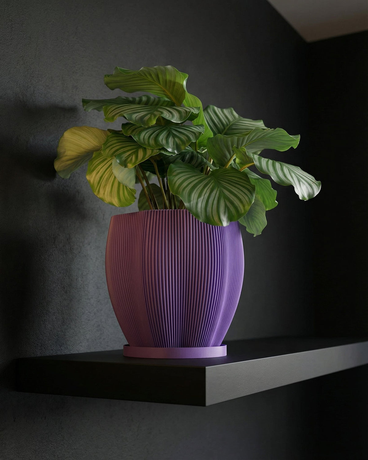 A purple planter pot with a plant on a wooden table. The pot has a textured design.
