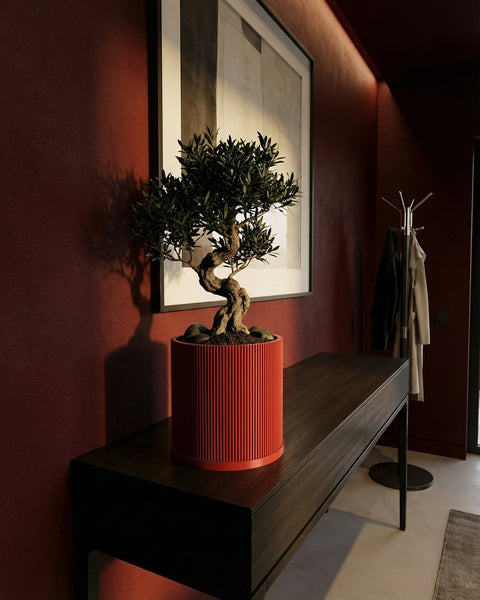 A red planter pot with a bonsai tree sits on a dark wood table against a red wall with a framed print.