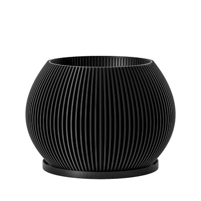 Charcoal Black Melon