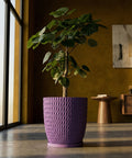 A purple planter pot with a green plant inside sits on a concrete floor in front of a window.