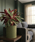 A green woven planter pot sits on a wooden table next to a gray couch in a room with green walls and a window.