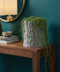 A gray planter pot with a string of pearls plant sits on a wooden table. The pot has a textured, geometric design.
