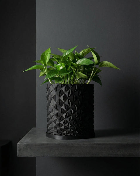 A black planter pot with a green plant inside sits on a gray surface against a dark gray wall. The pot has a geometric, diamond-like pattern.