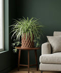 A spider plant in a brown textured planter pot sits on a wooden side table next to a beige couch.