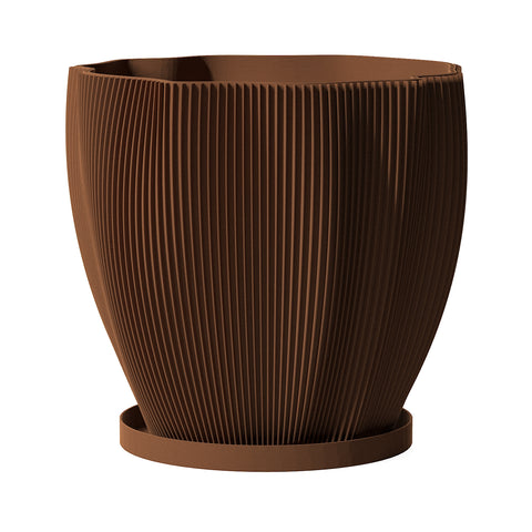 Nut Brown Coconut