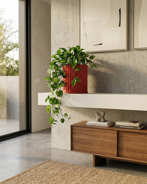 A red planter pot with a monstera plant sits on a wooden table in a room with red walls.