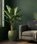A green planter pot with a plant next to a gray chair in a room with green walls.