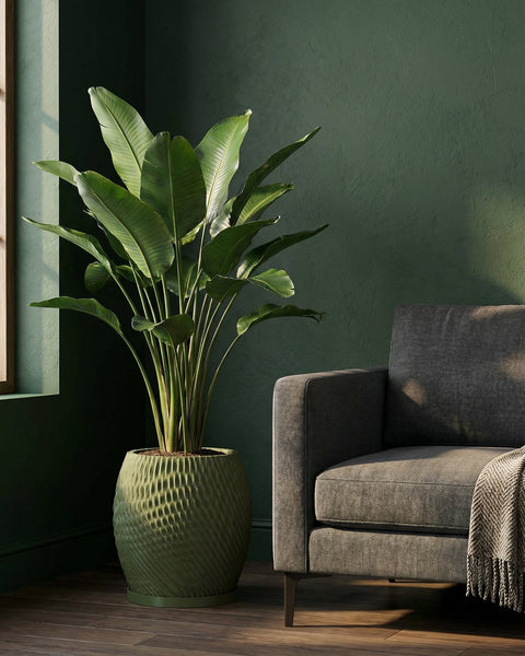 A green planter pot with a plant next to a gray chair in a room with green walls.