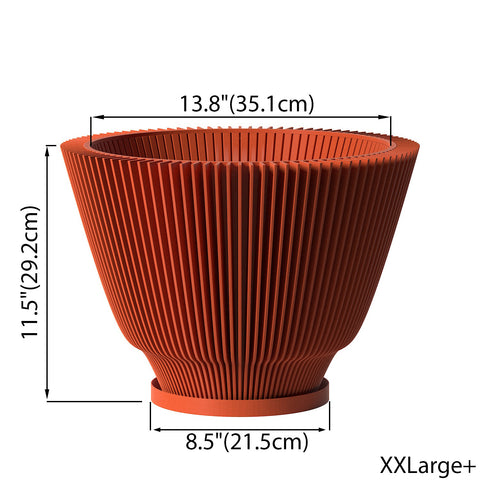 Terracotta Orange Dawn