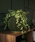 A green Anthurium plant in a green planter pot sits on a light-colored wooden table in a modern living room. The planter has a unique, vertically-lined design. A gray wall, a framed geometric print, and a chair are in the background.