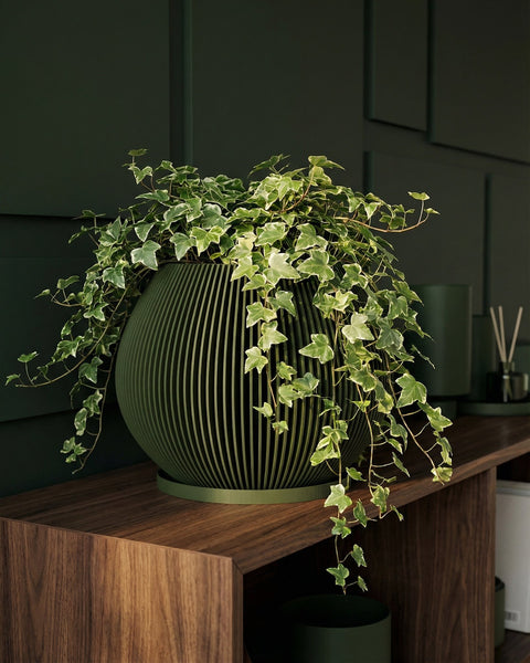 A green Anthurium plant in a green planter pot sits on a light-colored wooden table in a modern living room. The planter has a unique, vertically-lined design. A gray wall, a framed geometric print, and a chair are in the background.