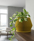 A yellow planter pot with a plant inside sits on a wooden cabinet in a modern living room. The pot is ribbed and has a saucer. The plant has green and yellow leaves and is supported by a moss pole. A white sculpture and two books are on the cabinet next to the pot. A painting hangs on the wall behind the cabinet. A sheer curtain covers the window to the left.