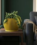 A yellow planter pot with a green plant sits on a wooden table next to a gray couch with a throw blanket.