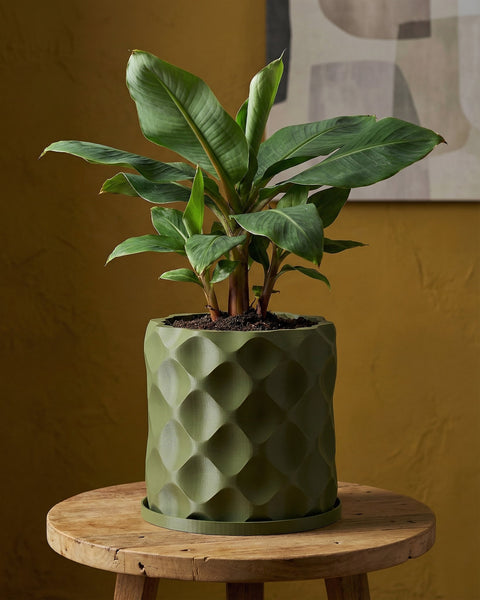 A green planter pot with a banana plant inside, sitting on a wooden stool. The pot has a geometric pattern.