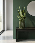 A green planter pot with a plant next to a gray chair in a room with green walls.
