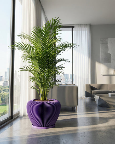 A purple planter pot with a green plant inside is in a modern living room with large windows.