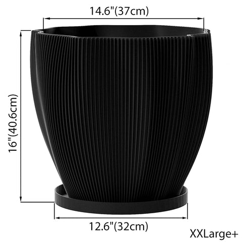 Charcoal Black Coconut