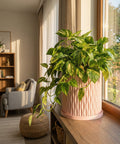 A pink planter pot with a rubber plant sits on a wooden cabinet in a green entryway with a round mirror on the wall.
