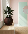 A Stromanthe plant in a brown, fluted planter pot sits atop a light wood cabinet. The plant has green and pink striped leaves. Next to the planter are three stacked books and another plant in a gray pot. A framed piece of art hangs on the wall behind the plants.