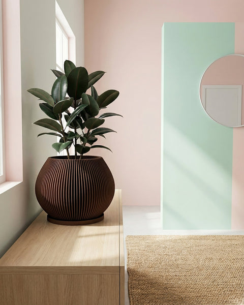 A Stromanthe plant in a brown, fluted planter pot sits atop a light wood cabinet. The plant has green and pink striped leaves. Next to the planter are three stacked books and another plant in a gray pot. A framed piece of art hangs on the wall behind the plants.