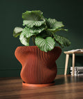 A terracotta planter pot sits on a wooden table, filled with dried leaves. Coats hang on a wall in the background.