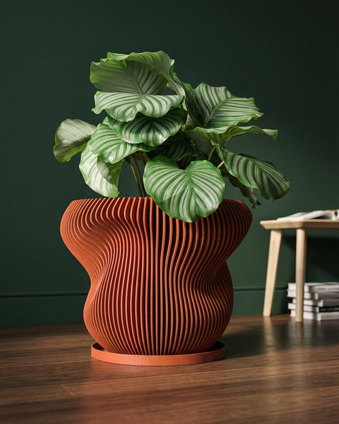 A terracotta planter pot sits on a wooden table, filled with dried leaves. Coats hang on a wall in the background.