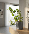 A gray, textured planter pot with a peace lily sits on a wooden console table in a modern entryway with a round mirror.