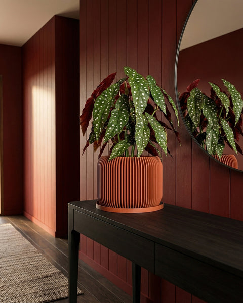 A terracotta planter with a diamond pattern sits on a wooden table, holding a vibrant green plant.