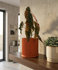 A fiddle leaf fig plant in a textured orange planter pot sits on a wooden table against a green wall.