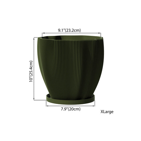 Avocado Green Coconut