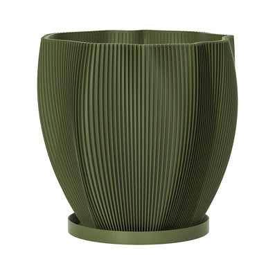 Avocado Green Coconut