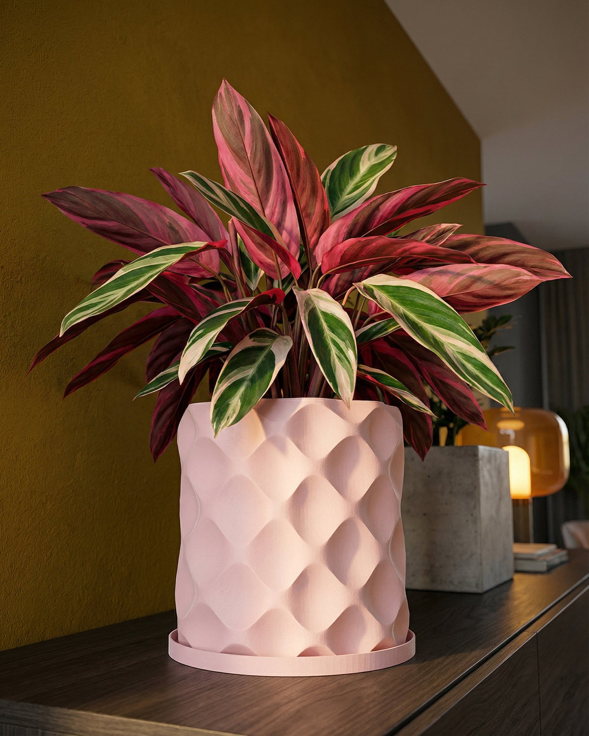 A pink planter pot with a geometric pattern sits on a dark wooden surface, holding a vibrant plant with pink and green leaves.