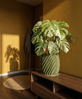 A Monstera plant sits in a green, swirled planter pot on a wooden cabinet in a room with yellow walls.