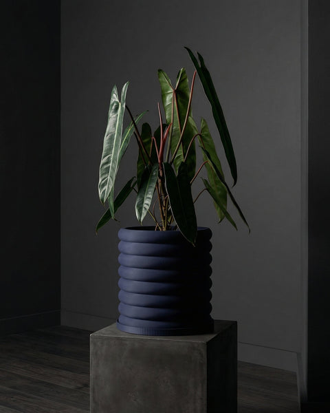 A blue planter pot with a green plant inside, sitting on a gray cube. The planter pot has a unique, rounded design.