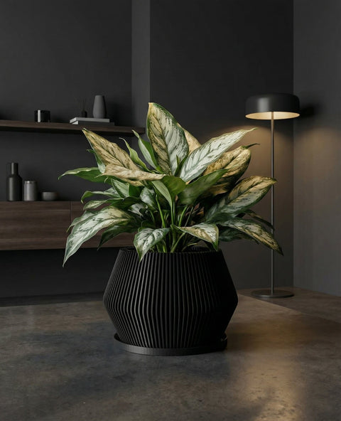 A Monstera plant in a black, vertically ribbed planter pot sits on a gray floor in a modern room. A large window is to the left, and a light wood paneled wall is behind the plant. A white sofa and abstract art are in the background.